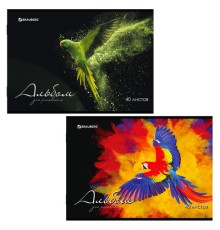 Альбом для рисования А4, 40 л., скоба, обложка картон, BRAUBERG, 205х290 мм, 