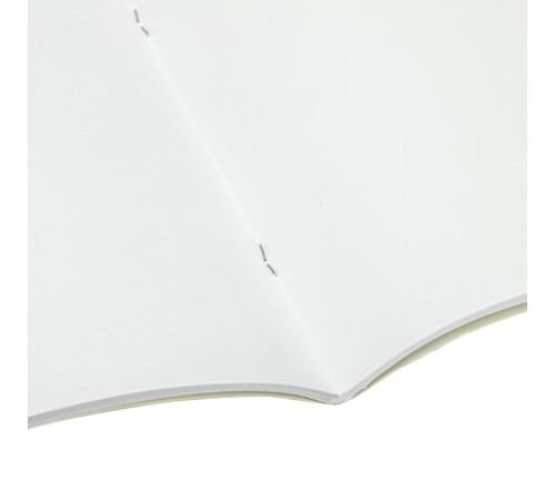 Альбом для рисования А4, 40 л., скоба, обложка картон, BRAUBERG, 205х290 мм, 