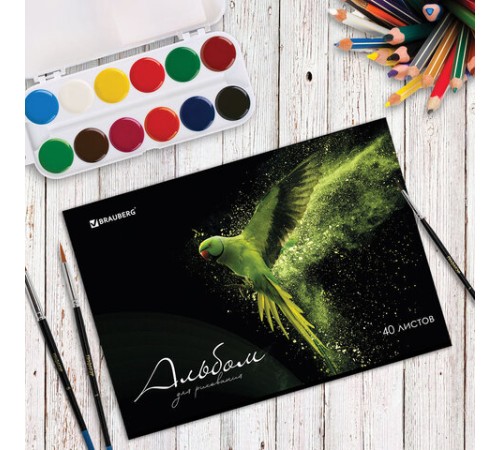 Альбом для рисования А4, 40 л., скоба, обложка картон, BRAUBERG, 205х290 мм, 