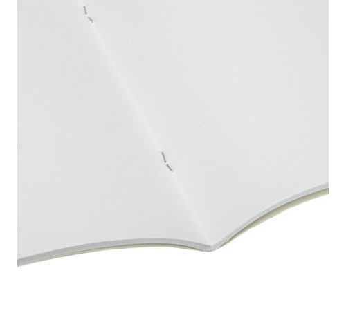 Альбом для рисования А4, 40 листов, скоба, обложка картон, BRAUBERG, 205х290 мм, 