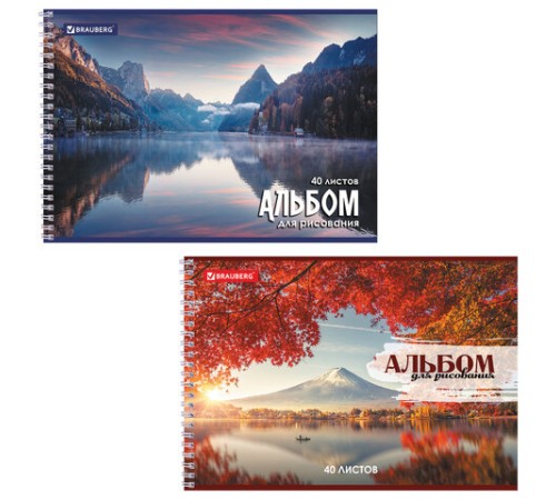 Альбом для рисования, А4, 40 листов, гребень, обложка картон, BRAUBERG, 195х285 мм, 