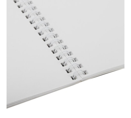 Альбом для рисования, А4, 40 листов, гребень, обложка картон, BRAUBERG, 195х285 мм, 