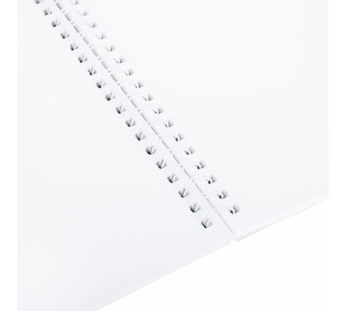 Альбом для акварели А4 24 л., бумага 180 г/м2, гребень, обложка картон, BRAUBERG KIDS, 