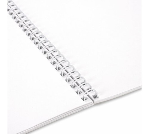 Альбом для акварели А4 40 л., бумага 200 г/м2, гребень, обложка картон, BRAUBERG, Ассорти 2 вида, 106713