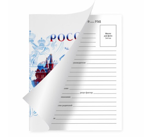 Дневник 1-11 класс 40 л., на скобе, ПИФАГОР, обложка картон, 