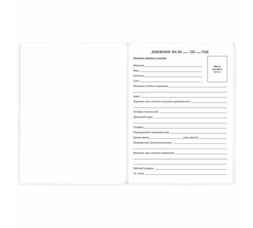 Дневник 1-11 класс 40 л., на скобе, ПИФАГОР, обложка картон, 