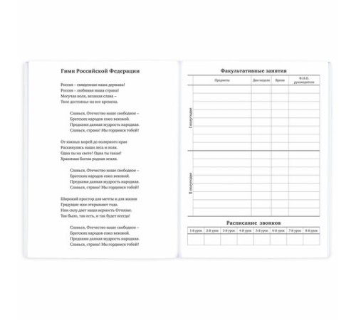 Дневник 1-11 класс 40 л., на скобе, ПИФАГОР, обложка картон, 