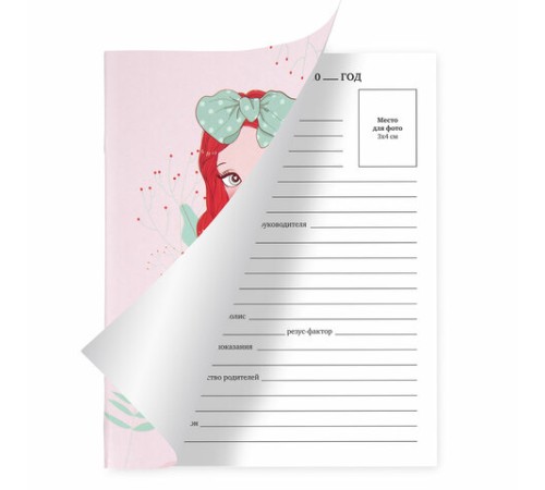 Дневник 1-11 класс 40 л., на скобе, ПИФАГОР, обложка картон, 