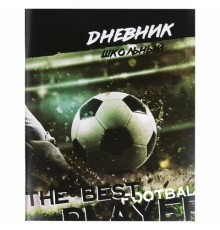 Дневник 1-11 класс 40 л., на скобе, ПИФАГОР, обложка картон, 