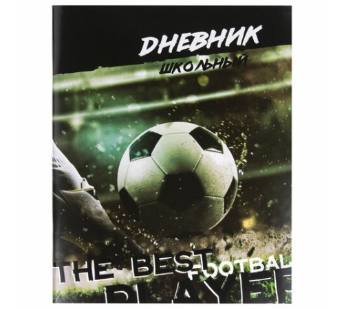 Дневник 1-11 класс 40 л., на скобе, ПИФАГОР, обложка картон, 