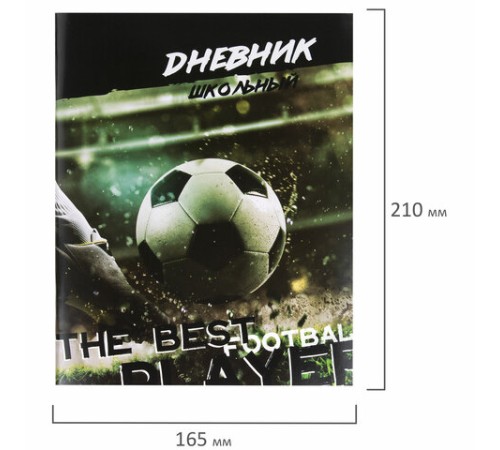 Дневник 1-11 класс 40 л., на скобе, ПИФАГОР, обложка картон, 