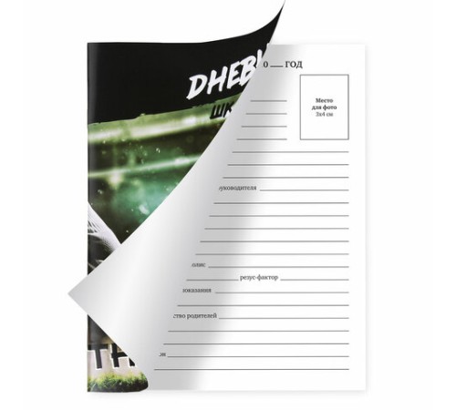 Дневник 1-11 класс 40 л., на скобе, ПИФАГОР, обложка картон, 