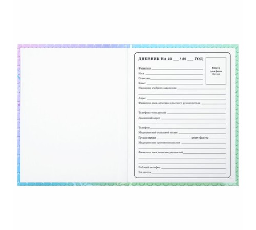 Дневник 1-4 класс 48 л., твердый, ЮНЛАНДИЯ, глянцевая ламинация, с подсказом, 