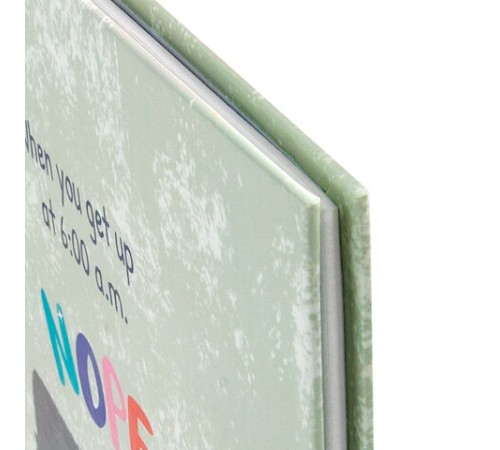 Дневник 1-4 класс 48 л., твердый, ЮНЛАНДИЯ, глянцевая ламинация, с подсказом, 