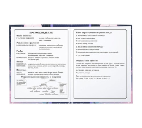 Дневник 1-4 класс 48 л., твердый, ЮНЛАНДИЯ, глянцевая ламинация, с подсказом, 