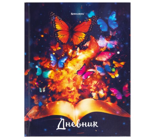 Дневник 1-4 класс 48 л., твердый, BRAUBERG, глянцевая ламинация, с подсказом, 
