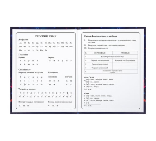 Дневник 1-4 класс 48 л., твердый, BRAUBERG, глянцевая ламинация, с подсказом, 