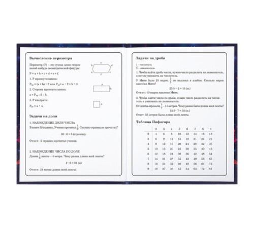 Дневник 1-4 класс 48 л., твердый, BRAUBERG, глянцевая ламинация, с подсказом, 