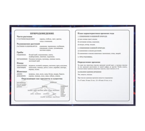 Дневник 1-4 класс 48 л., твердый, BRAUBERG, глянцевая ламинация, с подсказом, 