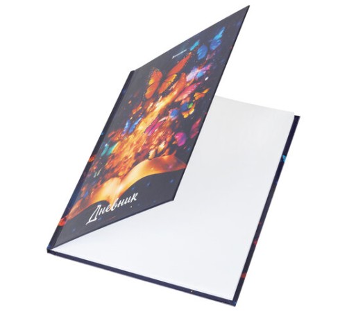 Дневник 1-4 класс 48 л., твердый, BRAUBERG, глянцевая ламинация, с подсказом, 