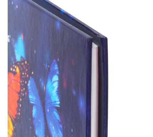 Дневник 1-4 класс 48 л., твердый, BRAUBERG, глянцевая ламинация, с подсказом, 