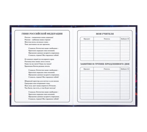 Дневник 1-4 класс 48 л., твердый, BRAUBERG, глянцевая ламинация, с подсказом, 