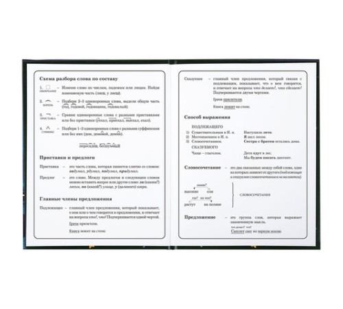 Дневник 1-4 класс 48 л., твердый, BRAUBERG, глянцевая ламинация, с подсказом, 