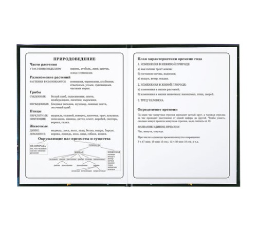 Дневник 1-4 класс 48 л., твердый, BRAUBERG, глянцевая ламинация, с подсказом, 