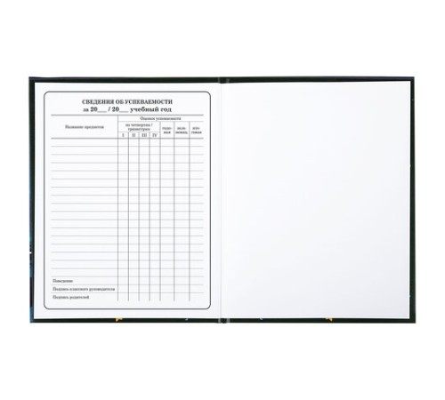 Дневник 1-4 класс 48 л., твердый, BRAUBERG, глянцевая ламинация, с подсказом, 