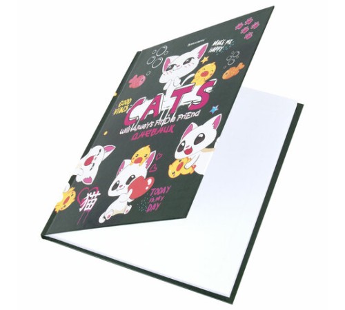 Дневник 1-4 класс 48 л., твердый, BRAUBERG, глянцевая ламинация, с подсказом, 