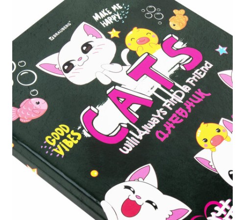 Дневник 1-4 класс 48 л., твердый, BRAUBERG, глянцевая ламинация, с подсказом, 