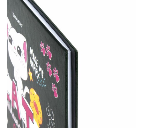 Дневник 1-4 класс 48 л., твердый, BRAUBERG, глянцевая ламинация, с подсказом, 