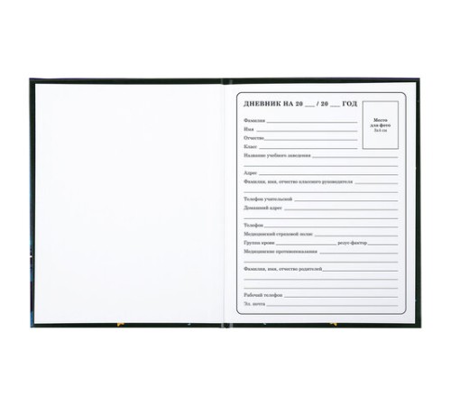 Дневник 1-4 класс 48 л., твердый, BRAUBERG, глянцевая ламинация, с подсказом, 