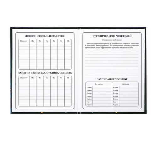 Дневник 1-4 класс 48 л., твердый, BRAUBERG, глянцевая ламинация, с подсказом, 