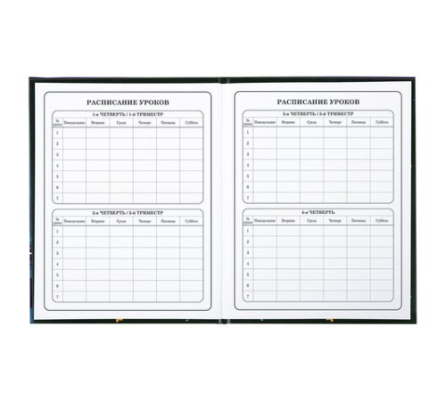 Дневник 1-4 класс 48 л., твердый, BRAUBERG, глянцевая ламинация, с подсказом, 