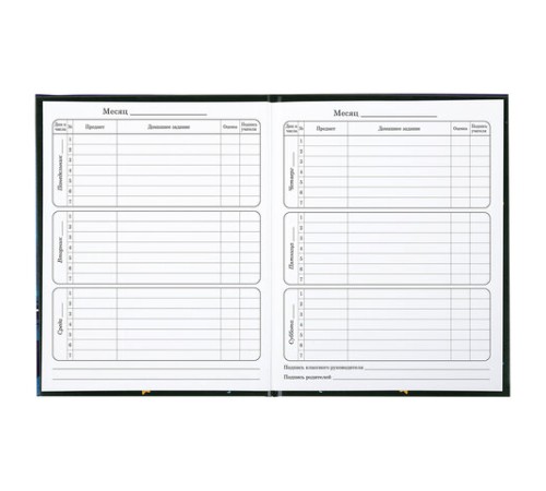 Дневник 1-4 класс 48 л., твердый, BRAUBERG, глянцевая ламинация, с подсказом, 