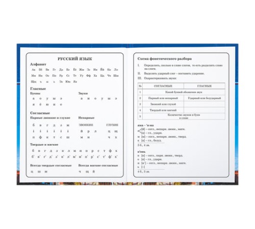 Дневник 1-4 класс 48 л., твердый, BRAUBERG, глянцевая ламинация, с подсказом, 