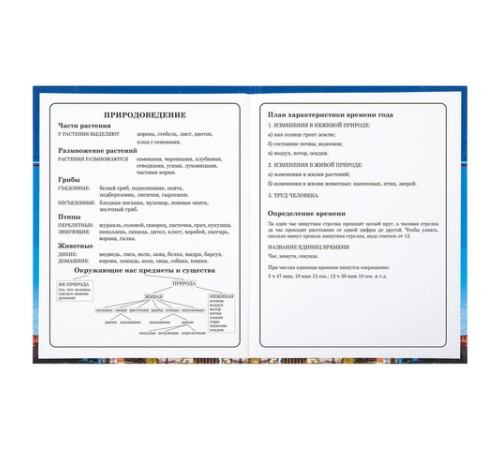 Дневник 1-4 класс 48 л., твердый, BRAUBERG, глянцевая ламинация, с подсказом, 