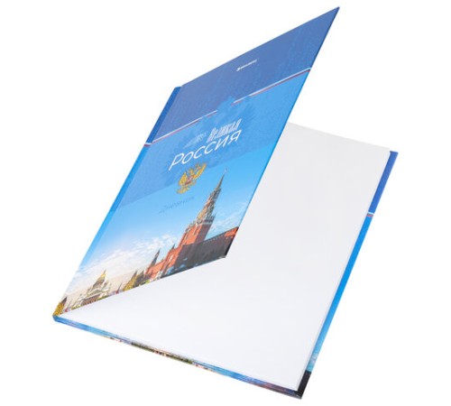 Дневник 1-4 класс 48 л., твердый, BRAUBERG, глянцевая ламинация, с подсказом, 