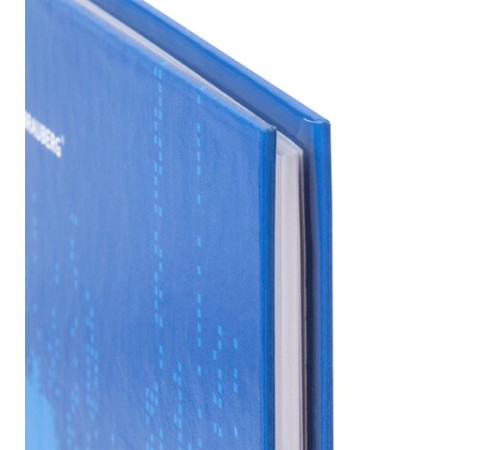 Дневник 1-4 класс 48 л., твердый, BRAUBERG, глянцевая ламинация, с подсказом, 