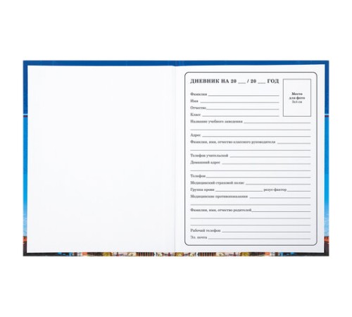 Дневник 1-4 класс 48 л., твердый, BRAUBERG, глянцевая ламинация, с подсказом, 