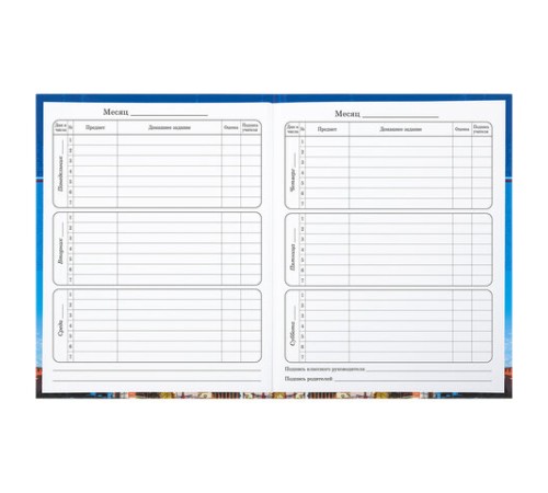 Дневник 1-4 класс 48 л., твердый, BRAUBERG, глянцевая ламинация, с подсказом, 