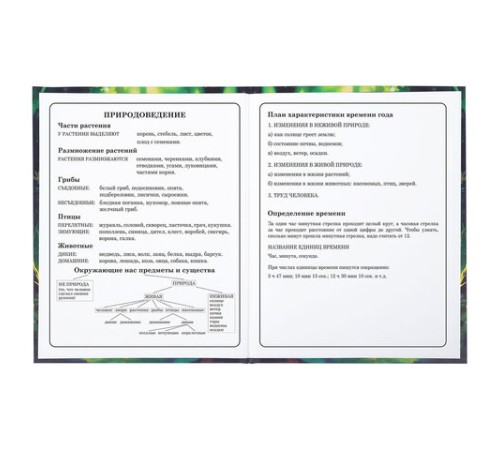 Дневник 1-4 класс 48 л., твердый, BRAUBERG, блестки, с подсказом, 