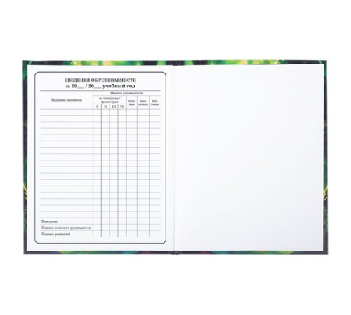 Дневник 1-4 класс 48 л., твердый, BRAUBERG, блестки, с подсказом, 