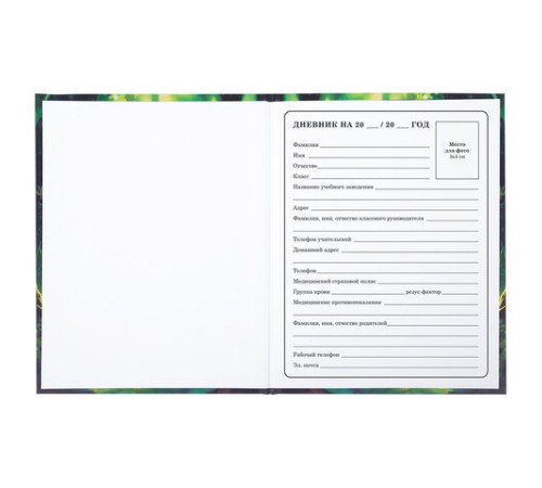 Дневник 1-4 класс 48 л., твердый, BRAUBERG, блестки, с подсказом, 
