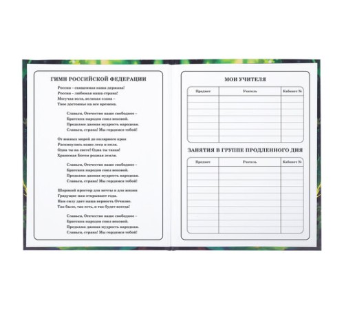 Дневник 1-4 класс 48 л., твердый, BRAUBERG, блестки, с подсказом, 