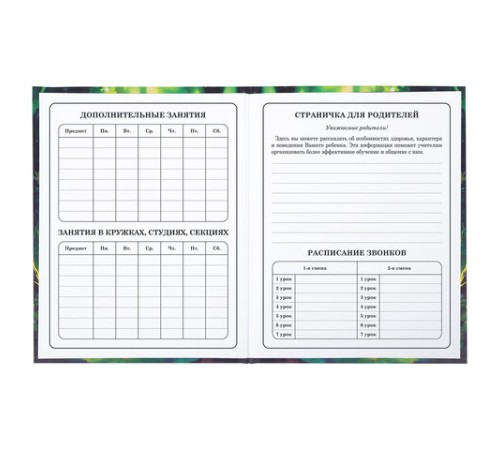 Дневник 1-4 класс 48 л., твердый, BRAUBERG, блестки, с подсказом, 