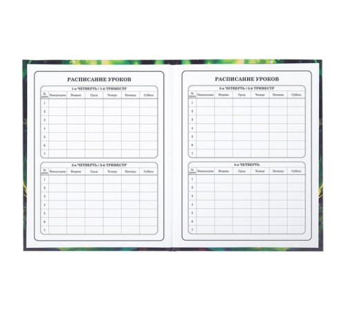 Дневник 1-4 класс 48 л., твердый, BRAUBERG, блестки, с подсказом, 