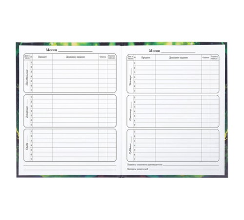 Дневник 1-4 класс 48 л., твердый, BRAUBERG, блестки, с подсказом, 