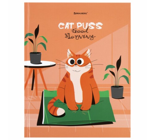 Дневник 1-11 класс 40 л., твердый, BRAUBERG, глянцевая ламинация, 